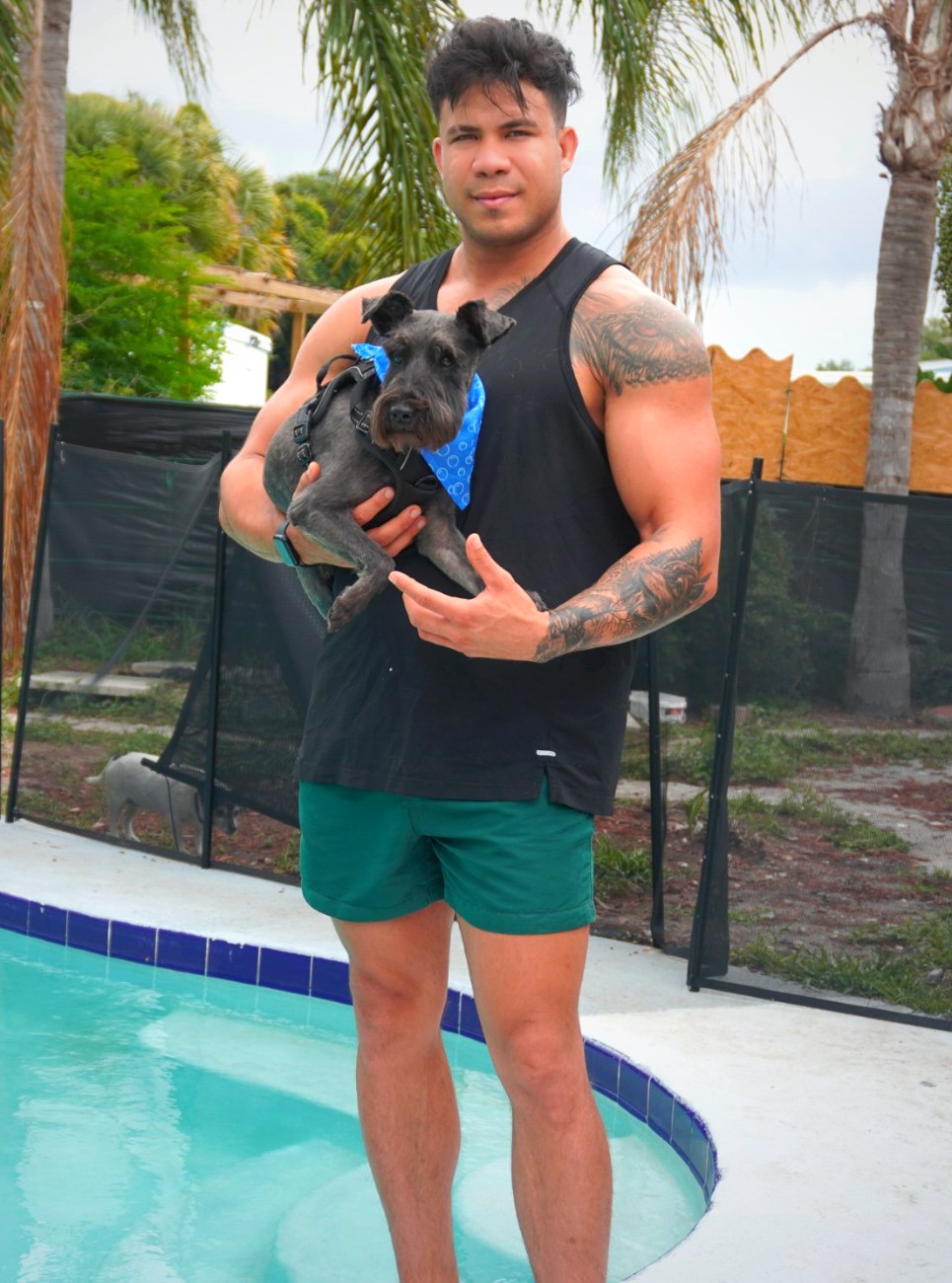 Hospedaje de perros en el área de Orlando